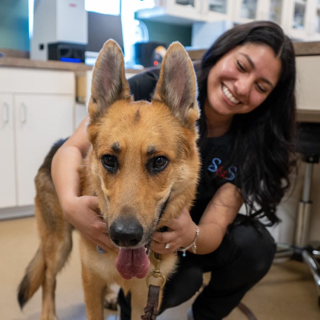 Pet Veterinary FAQs